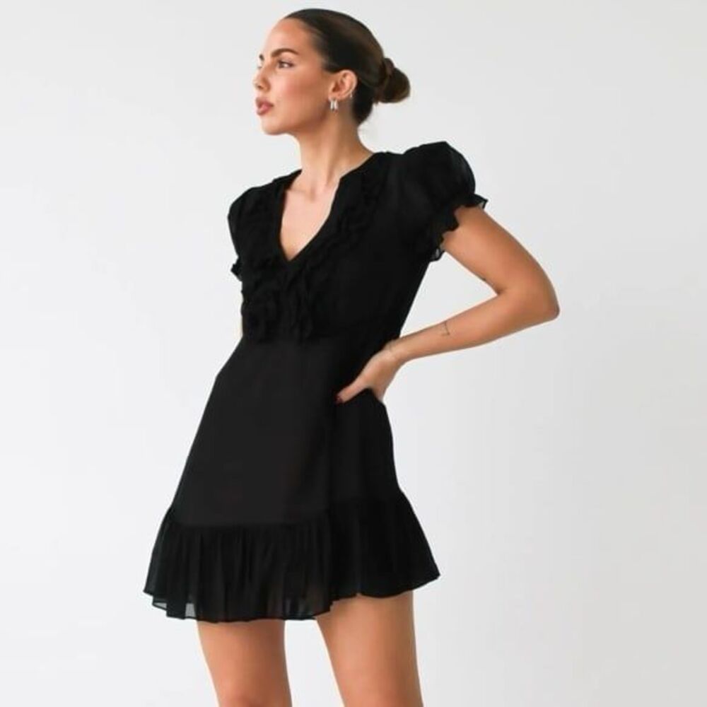 NWT Rumored Duchess sheer puff sleeve coquette mini dress